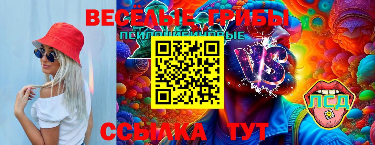 Галлюциногенные грибы мицелий Буйнакск